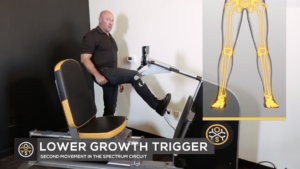 Lower Growth Trigger